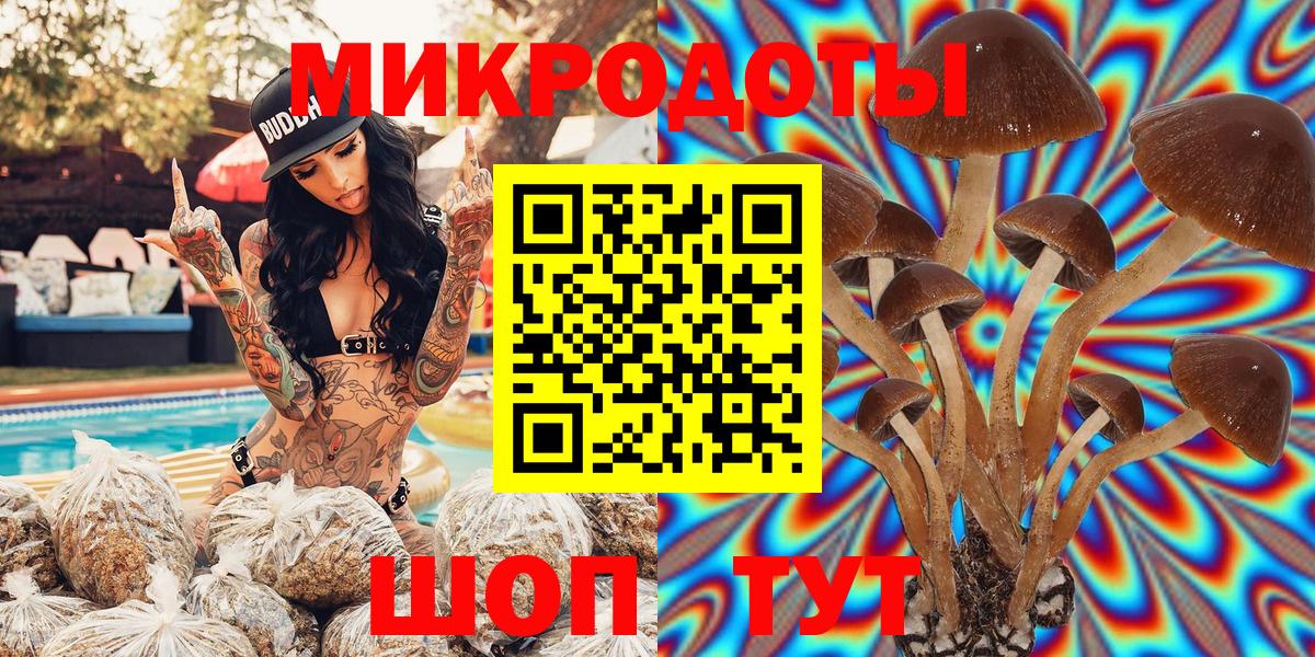 Псилоцибиновые грибы мицелий Азнакаево